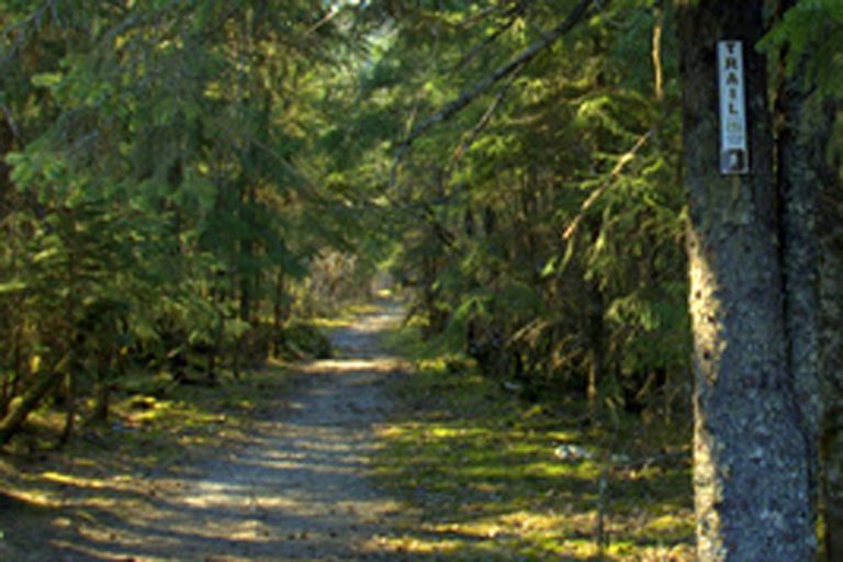 Back Loop Latitude 58 Real Estate Group Juneau, Alaska Real Estate